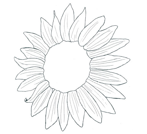 586x534 Kansas Day Classroom Activities