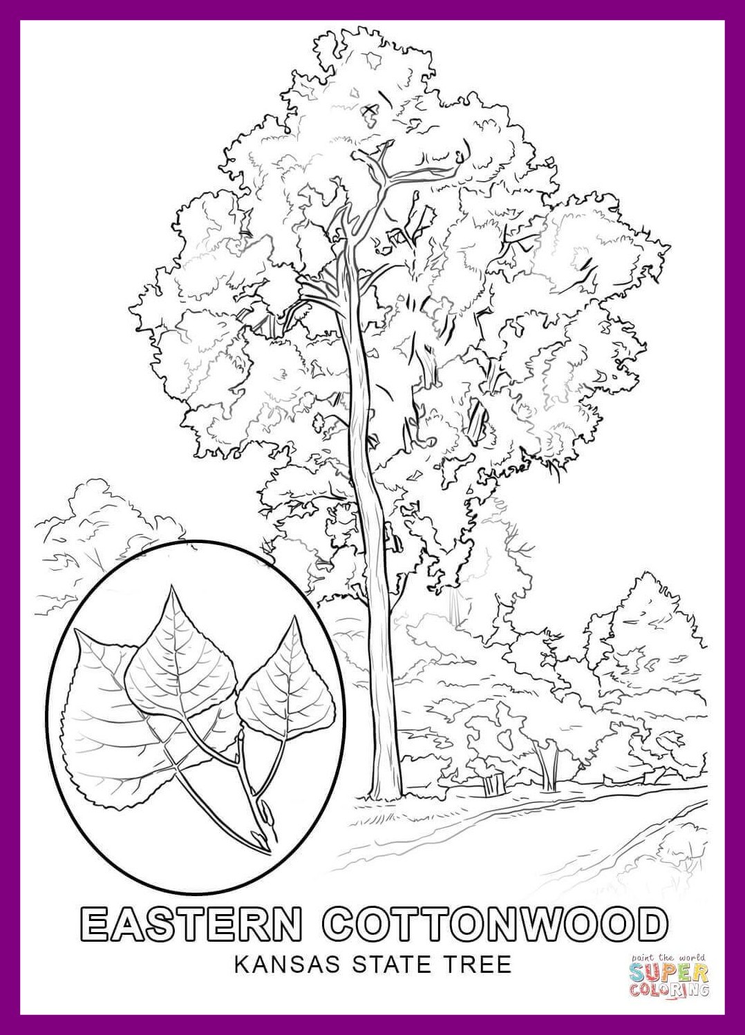 1078x1498 The Best Kansas State Tree Coloring Page Printable Of Flag Ideas