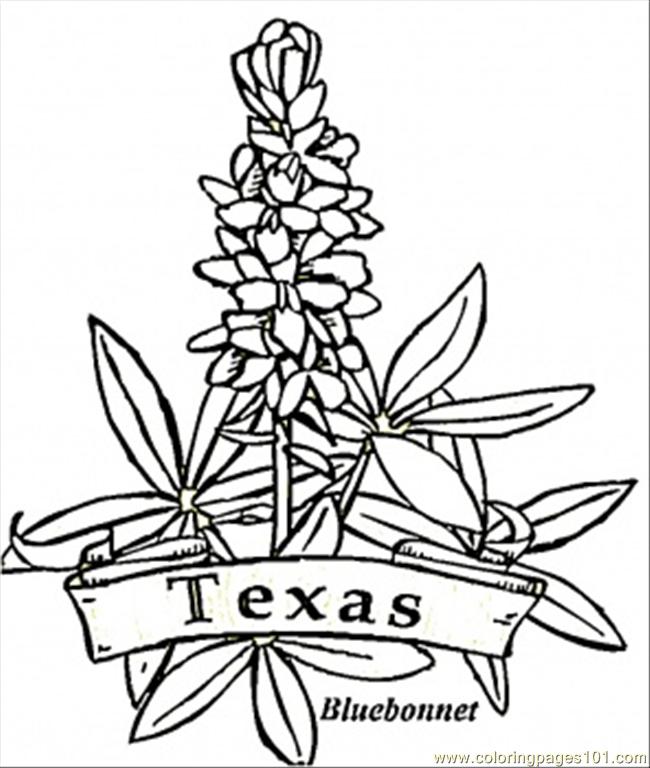 650x768 Kansas State Flag Coloring Page Many Interesting Cliparts