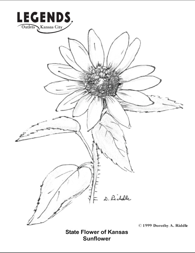 Kansas State Symbols Coloring Pages at GetDrawings | Free download