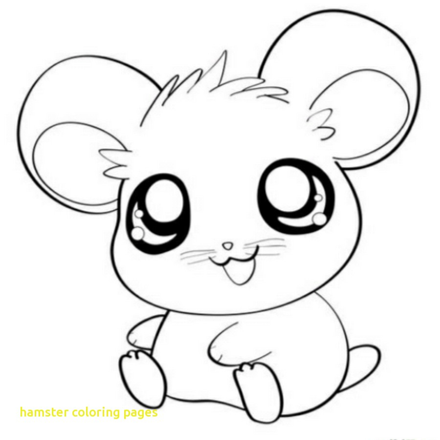 900x900 Hamster Coloring Pages Hamster Coloring Pages With Free Kawaii