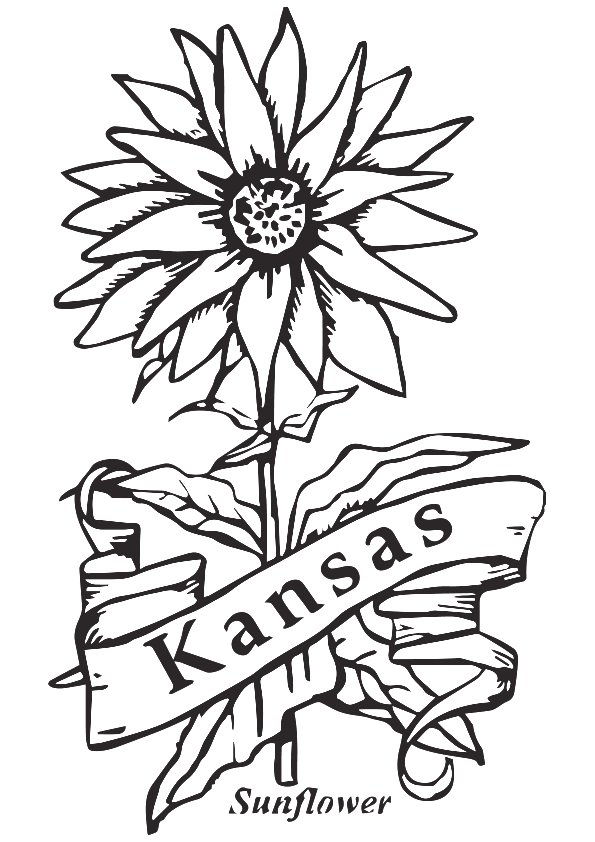 595x842 Kansas Coloring Sheet