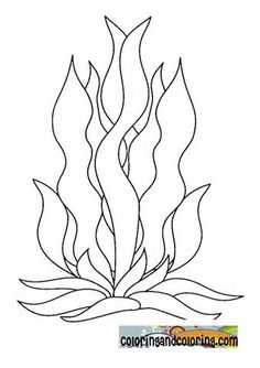 236x334 Image Result For Seaweed Drawing Inspiration