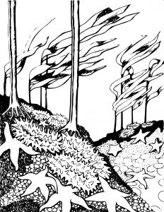 232x300 Blog The Art And Observations Of K J Keane