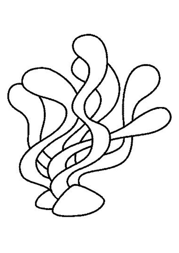 600x849 Seaweed Coloring Pages