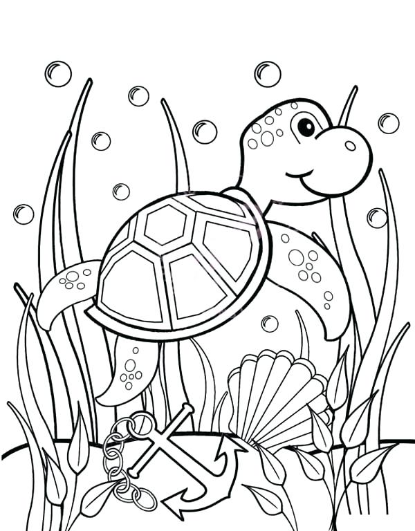 600x768 Seaweed Coloring Pages Plants Coloring Pages Seaweed Coloring
