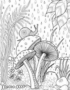 237x301 Forest Coloring Pages