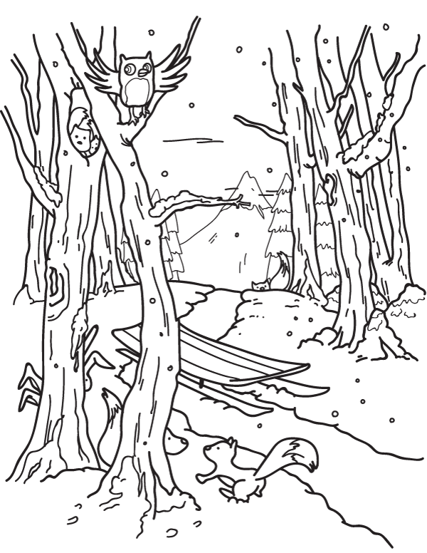 600x776 Attractive Forest Coloring Page Images