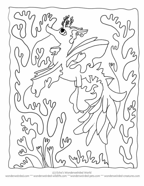 612x792 Cartoon Coloring Pictures Seadragon
