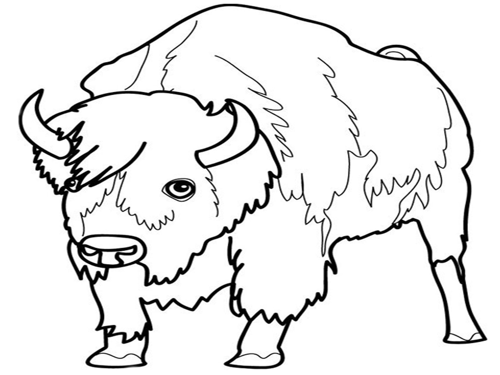 1600x1200 Animal Coloring Pages For Kids