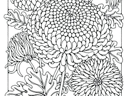 440x330 Kevin Henkes Coloring Pages Chrysanthemum Coloring Page
