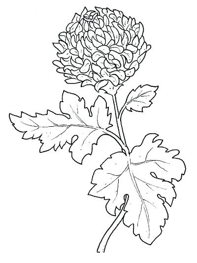 400x533 Best Colouring Pages Images On Coloring Pages Colouring Pages