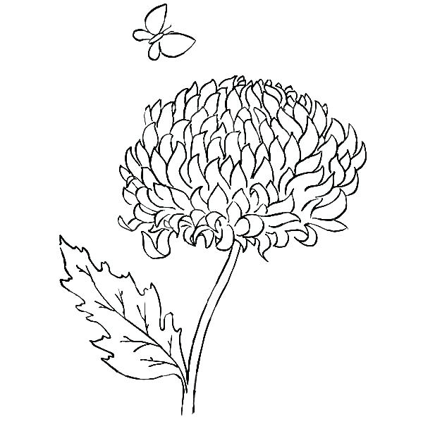 600x612 Kevin Henkes Coloring Pages Chrysanthemum Coloring Pages Best