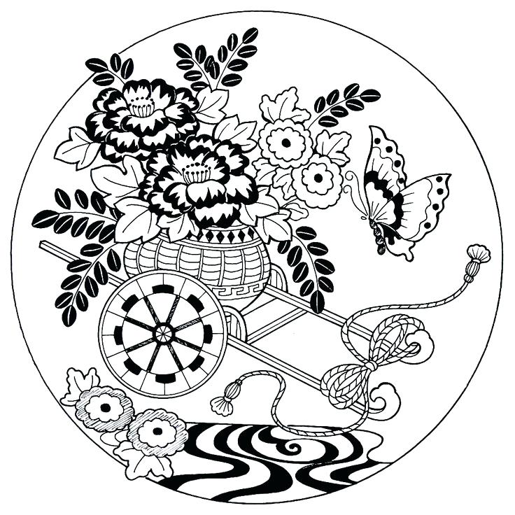 736x736 Chrysanthemum