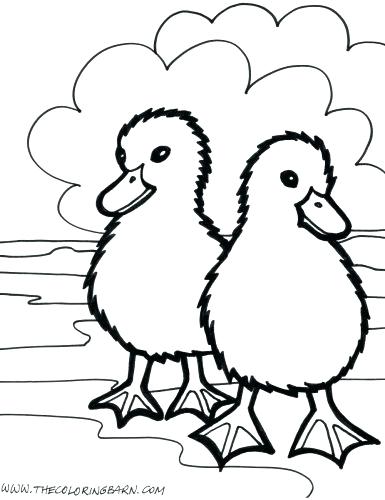 385x500 Farm Animals Coloring Kids Coloring Baby Animal Coloring Pages