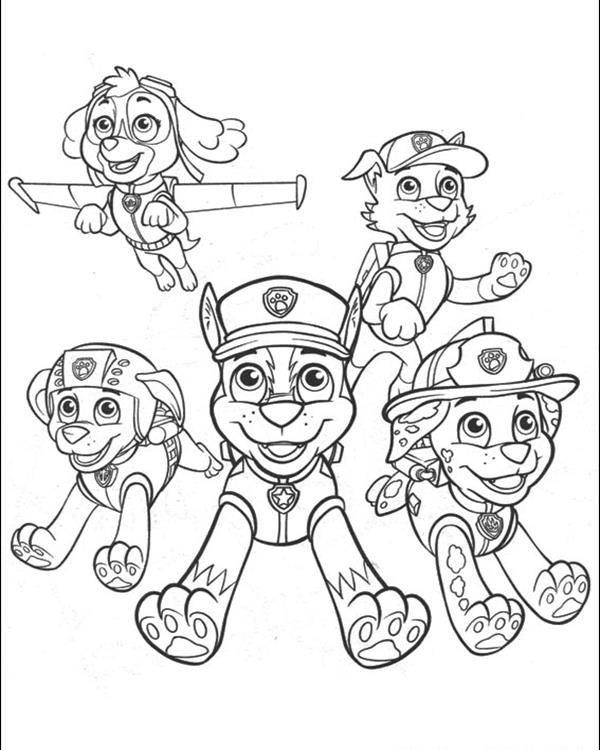 600x750 Paw Patrol