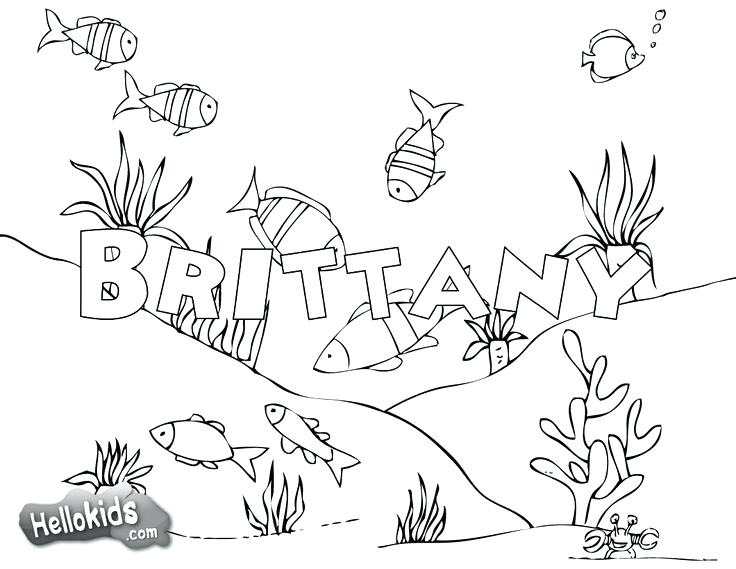 736x569 Name Coloring Pages Free Name Coloring Pages First Day Of School
