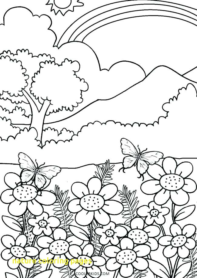 650x916 Nature Coloring Pages