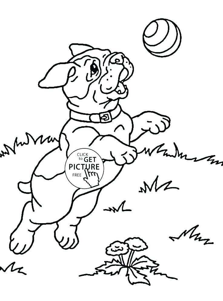 736x994 Free Animal Coloring Pages Puppy Coloring Pages Free Cute Coloring
