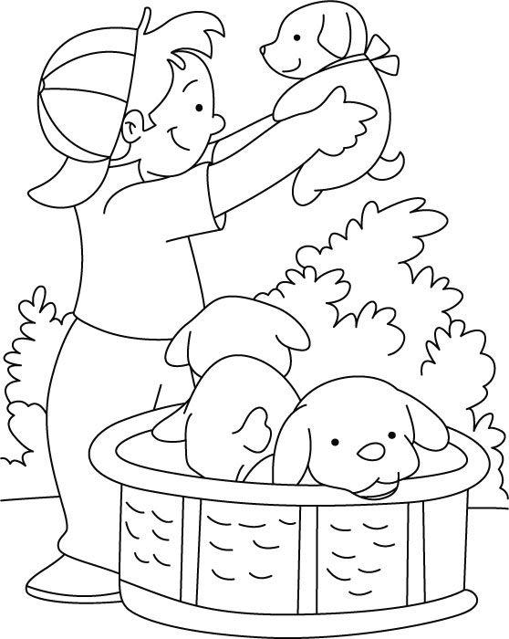 558x700 Boy Playing With Puppy Coloring Page De Colorat