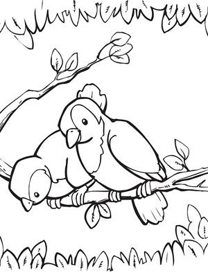 300x400 Printable Spring Coloring Pages Spring, Bird And Adult Coloring