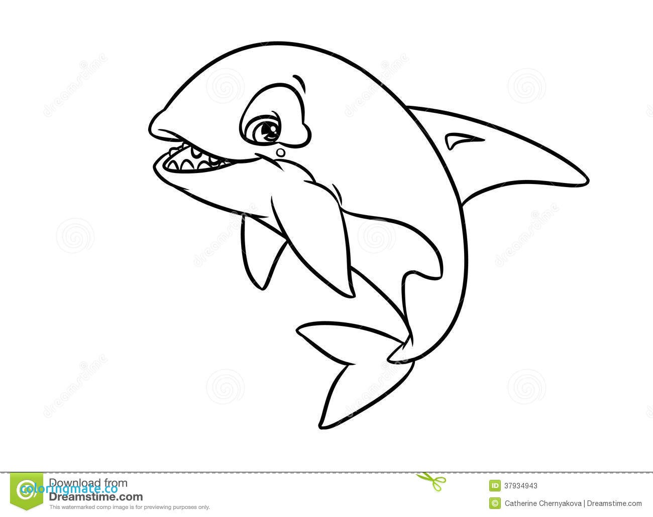 1300x1031 Killer Whale Coloring Pages Luxury Of For Orca Ideas