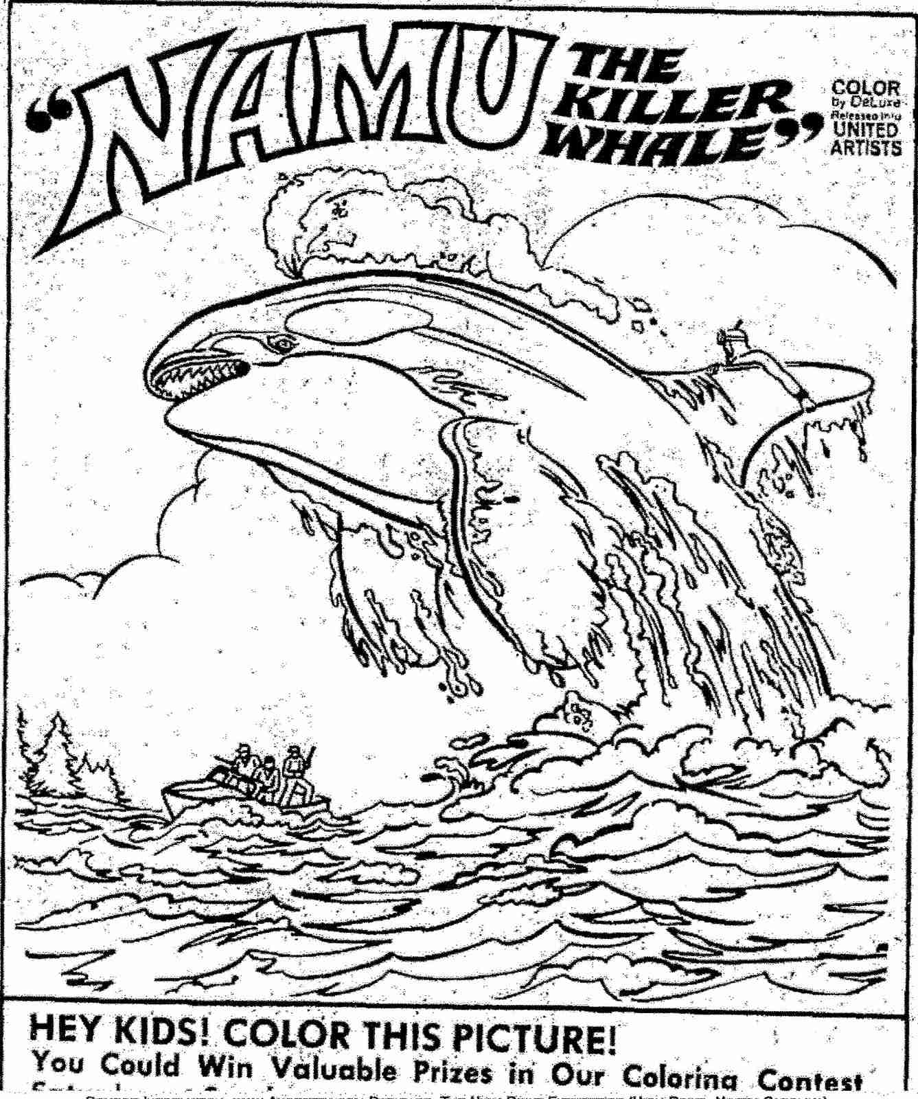 1337x1600 Killer Whale Coloring Pages