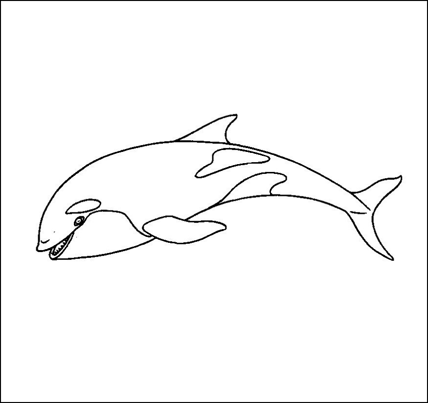 875x825 Killer Whale Coloring Pages Awesome Cute Killer Whale Is Jumping