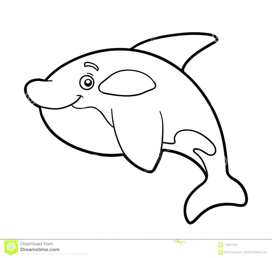 878x833 Killer Whale Pictures To Print Kids Coloring Whale Coloring Pages