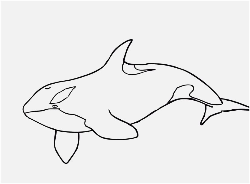 827x609 Veterinarian Coloring Pages View Killer Whale Coloring Pages Free