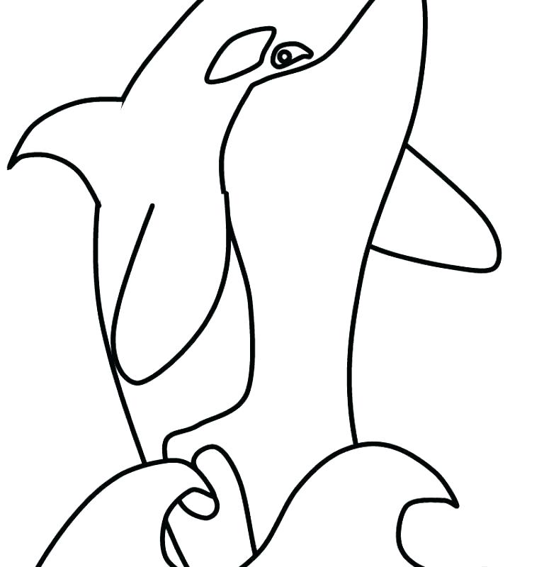768x800 Killer Whale Coloring Page