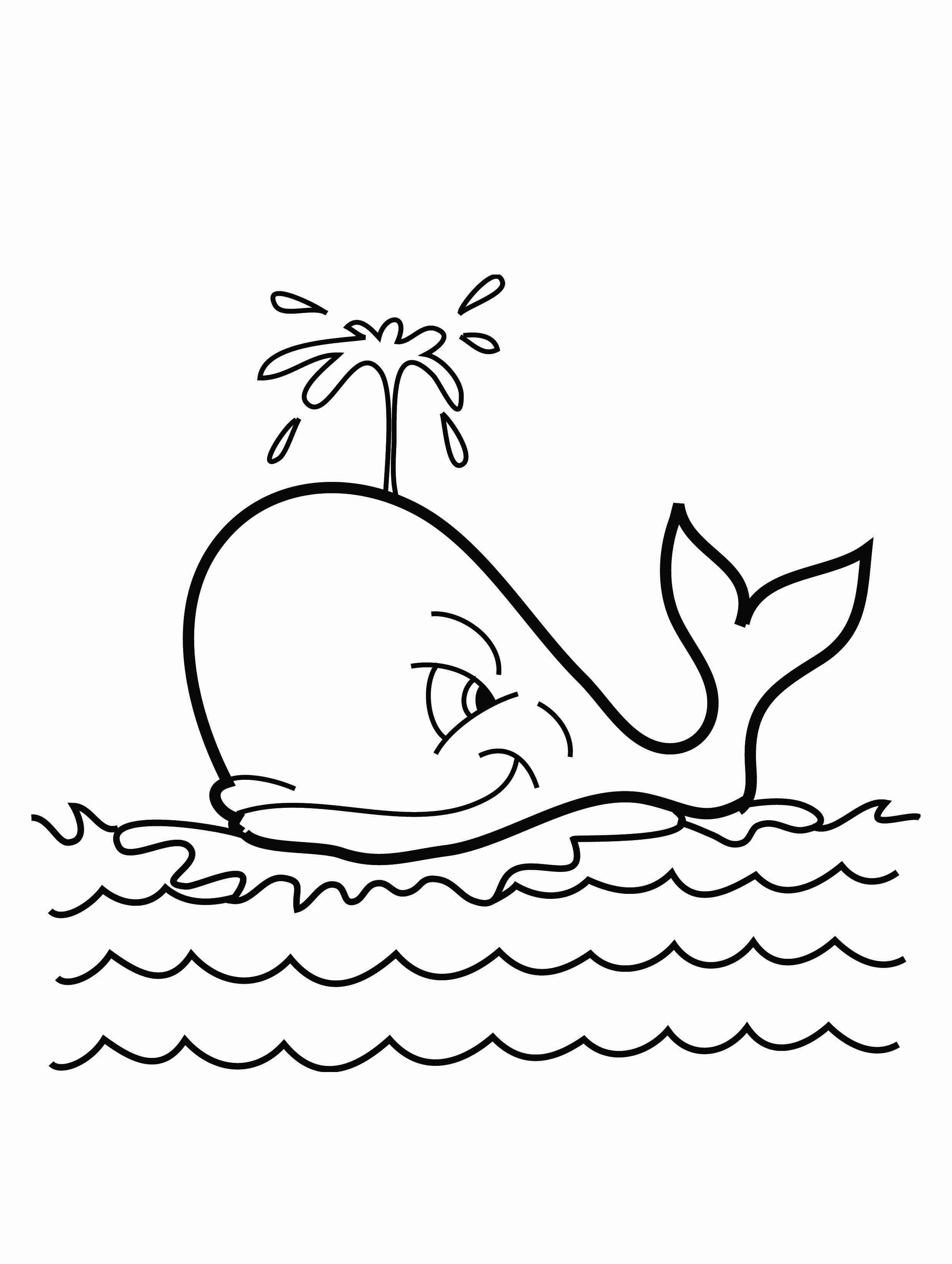 2480x3292 Killer Whale Coloring Pages With Orca Worksheet Free