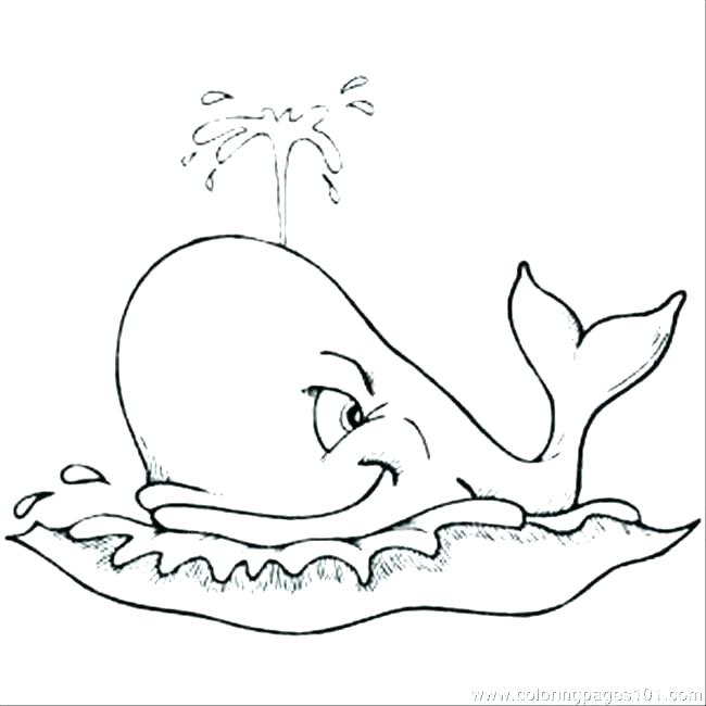 650x650 Whale Coloring Pages Free Printable Killer Whale Coloring Pages