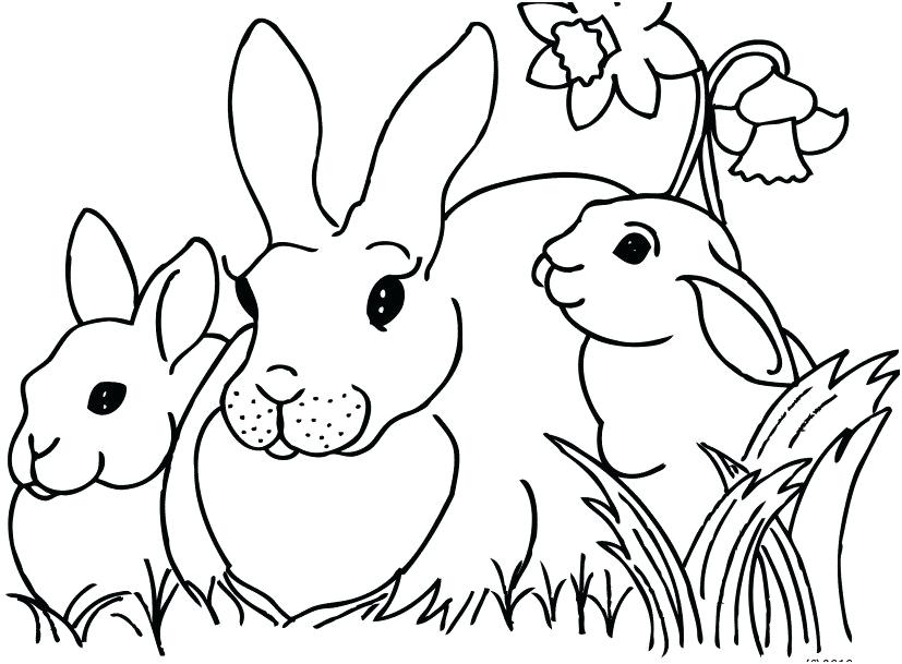 Kindergarten Coloring Pages Free at GetDrawings | Free download