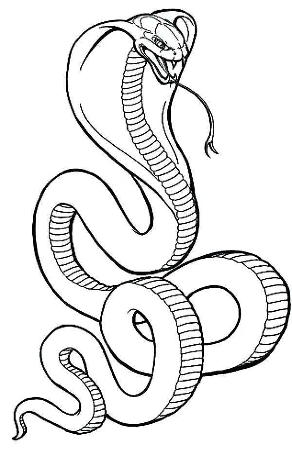 600x937 Snake Coloring Page Coloring Pages Snakes Coloring Page Snake