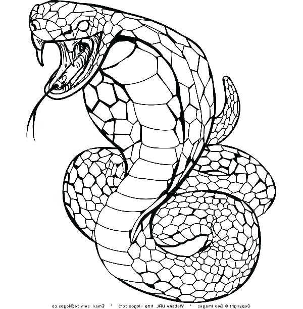 600x612 Snake For Coloring Snake Coloring Book As Well As Baby Snake Baby