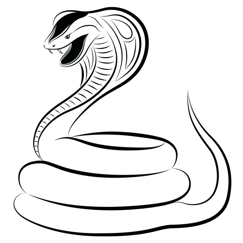 800x800 Remarkable Appealing King Cobra Coloring Pages Best Of Pin Drawn