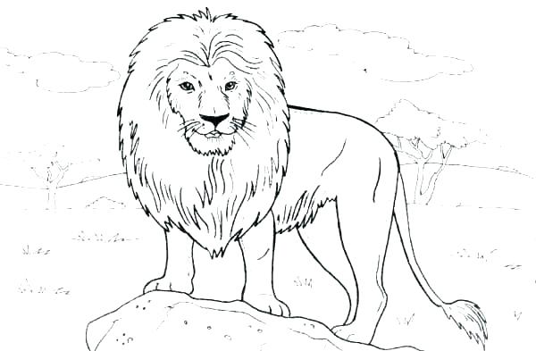 600x393 Dinosaur King Coloring Pages Page Lion Standing On A Rock Color Ki