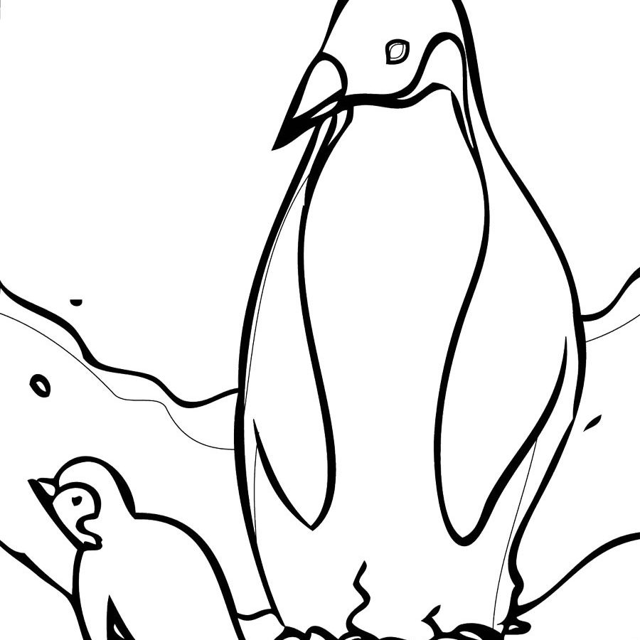 900x900 Coloring For Kids Birds Gentoo Penguin Walkss Emperor Printable