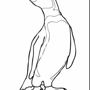 300x300 King Penguin Coloring Pages Fresh King Penguin Coloring Page