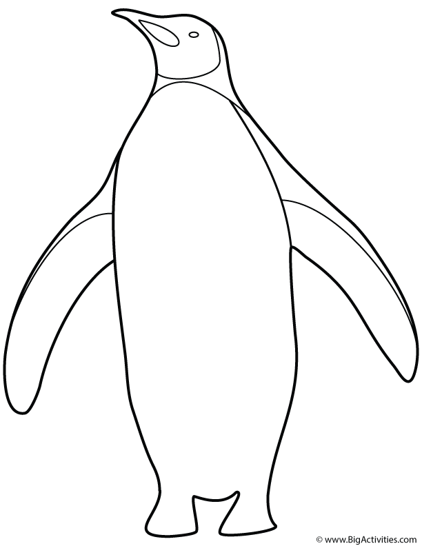 612x792 Penguin