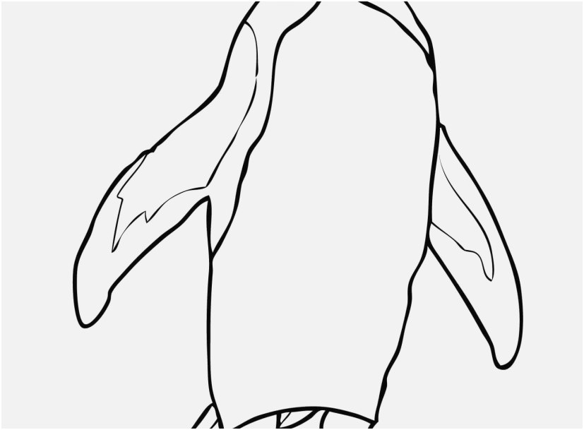 827x609 The Ideal Pics Coloring Pages Printable Penguin Wonderful