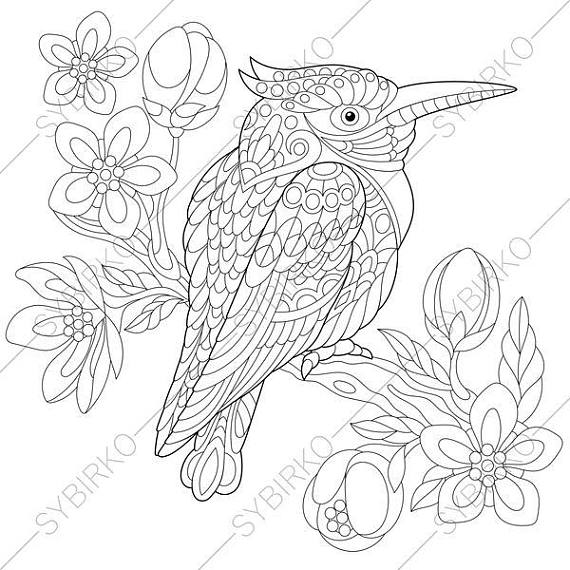 570x570 Kookaburra Bird Australian Kingfisher Coloring Page Animal