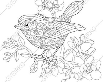 340x270 Kookaburra Bird Australian Kingfisher Coloring Pages Animal