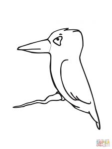 225x300 Pink Breasted Kingfisher Download Coloring Page