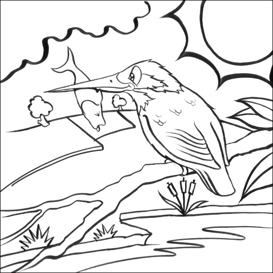 553x553 Nice And Printable Kingfisher Colouring Pages For Kids
