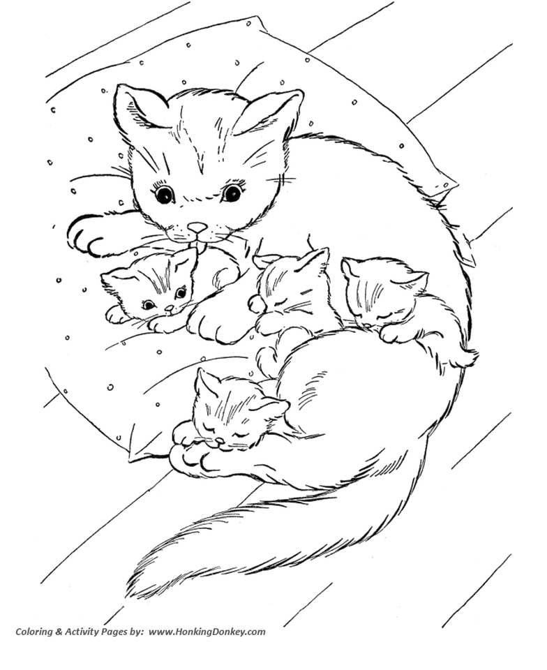 784x960 Get This Kitten Coloring Pages Kids Printable