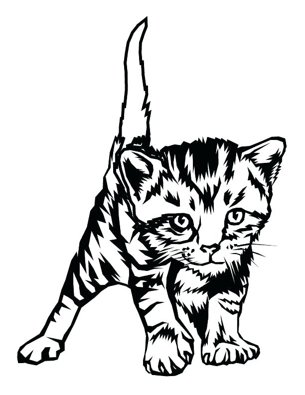 612x793 Wonderful Christmas Cat Coloring Pages Interesting Cute Kitten