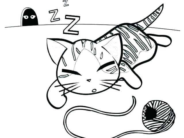 640x480 Kitten Coloring Page