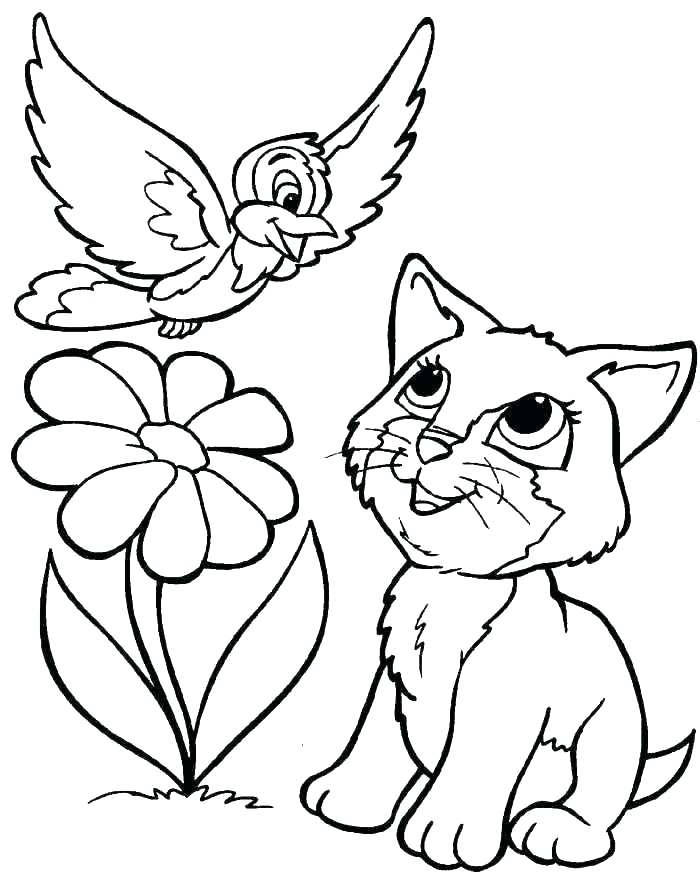 700x890 Stunning Kitten Coloring Pages Print Kitten Coloring Pages
